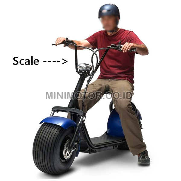 scooter-1000watt-naik