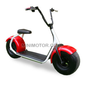 scooter-1000watt-polos