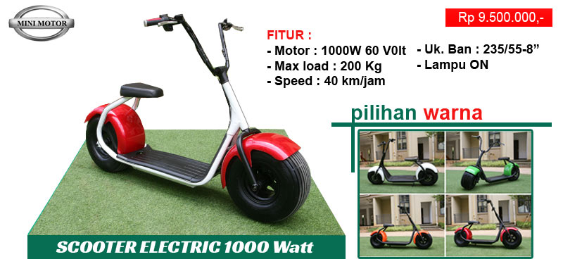 sepeda listrik 1000w
